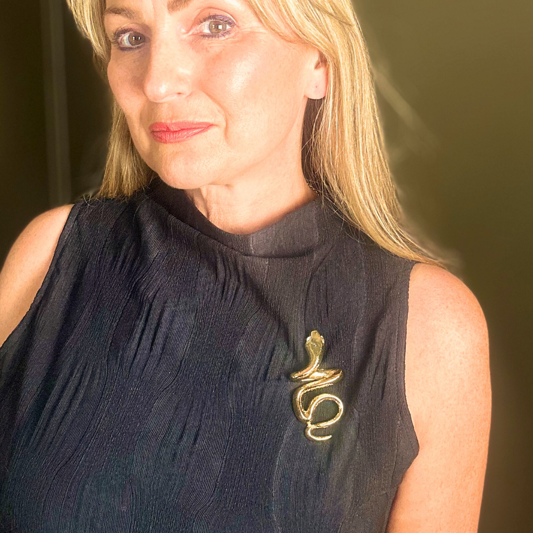 ILSA metal snake brooch