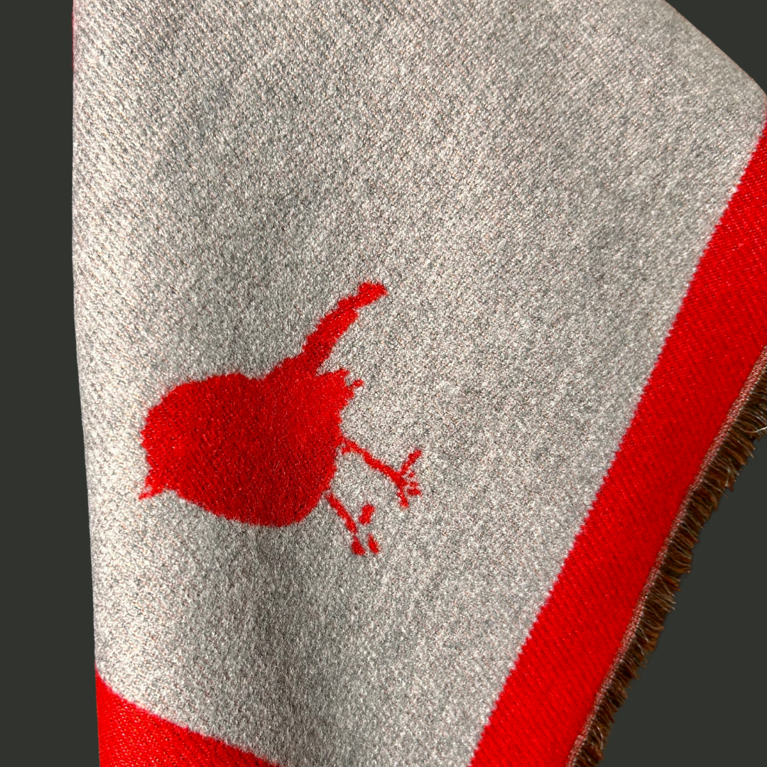 KNIGHTSBRIDGE robin print reversible long scarf