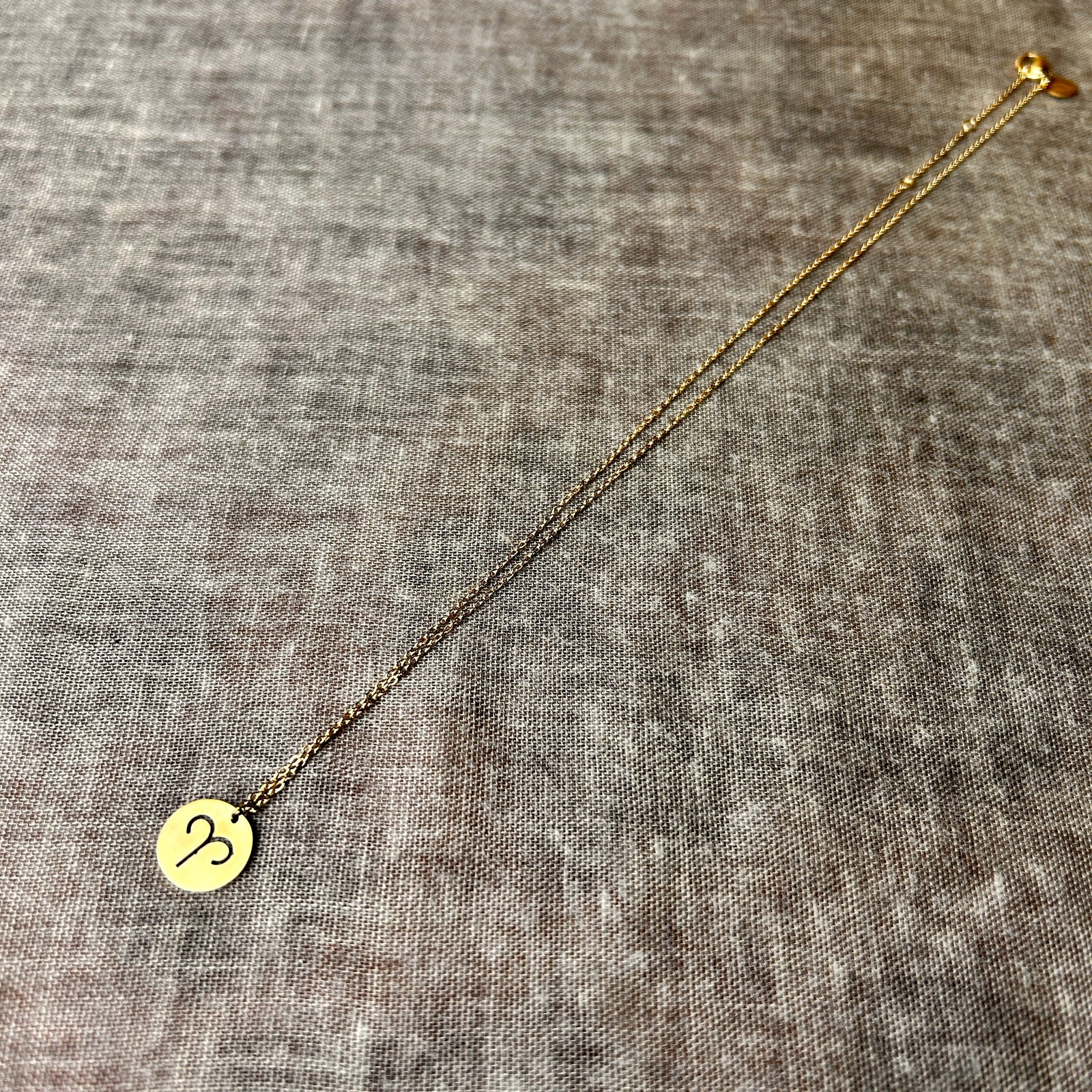ARIES steel astrology pendant on fine chain