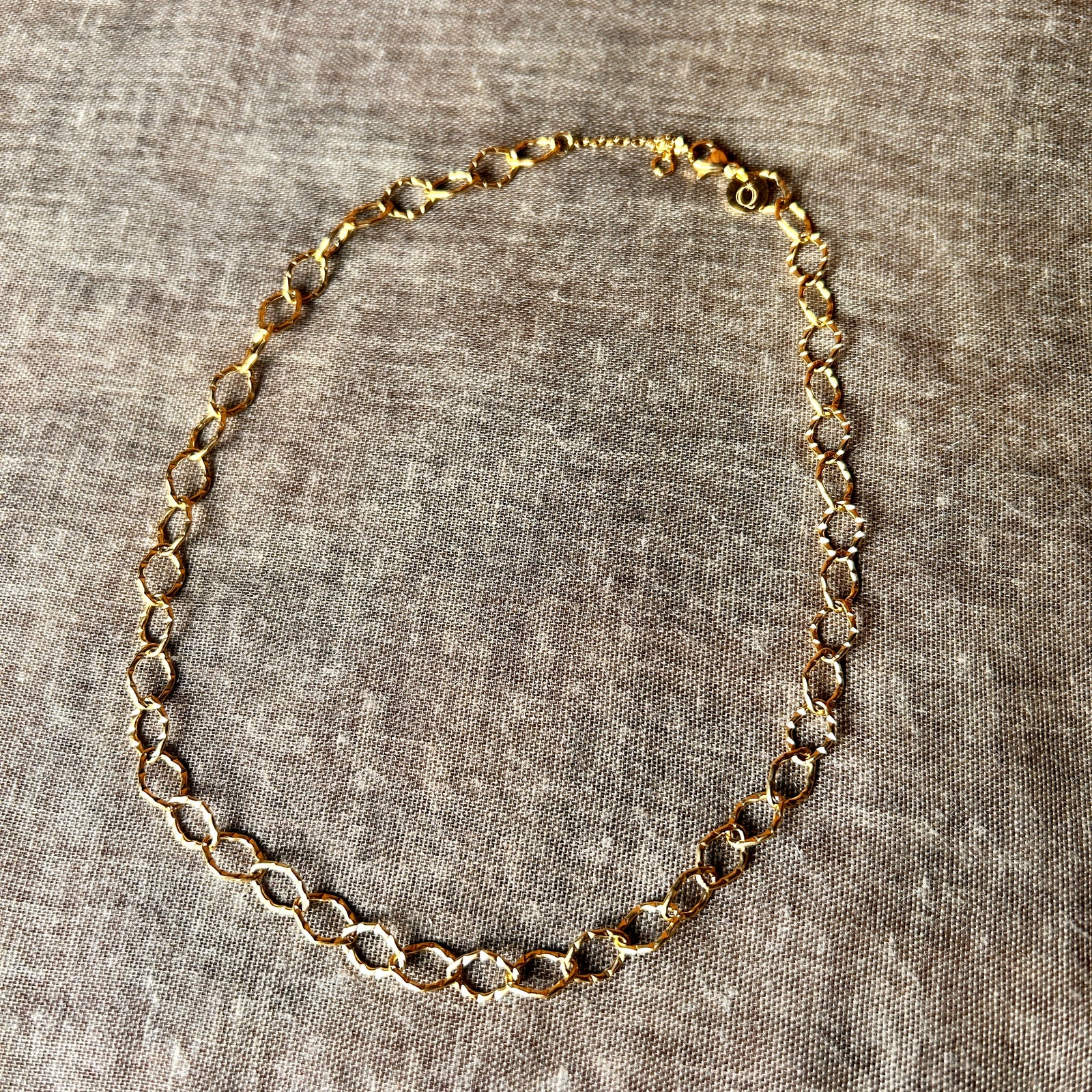 EVIE fine steel link necklace