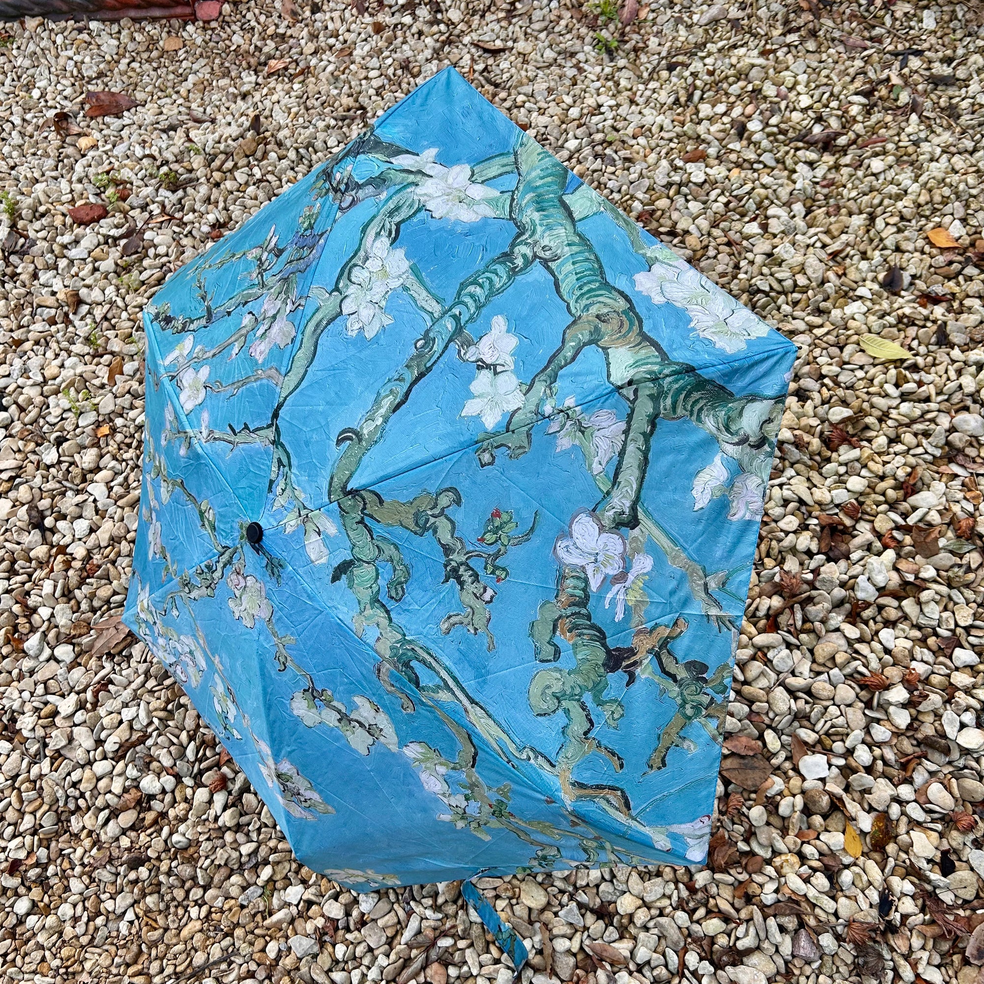 BAYSWATER mini umbrella with case