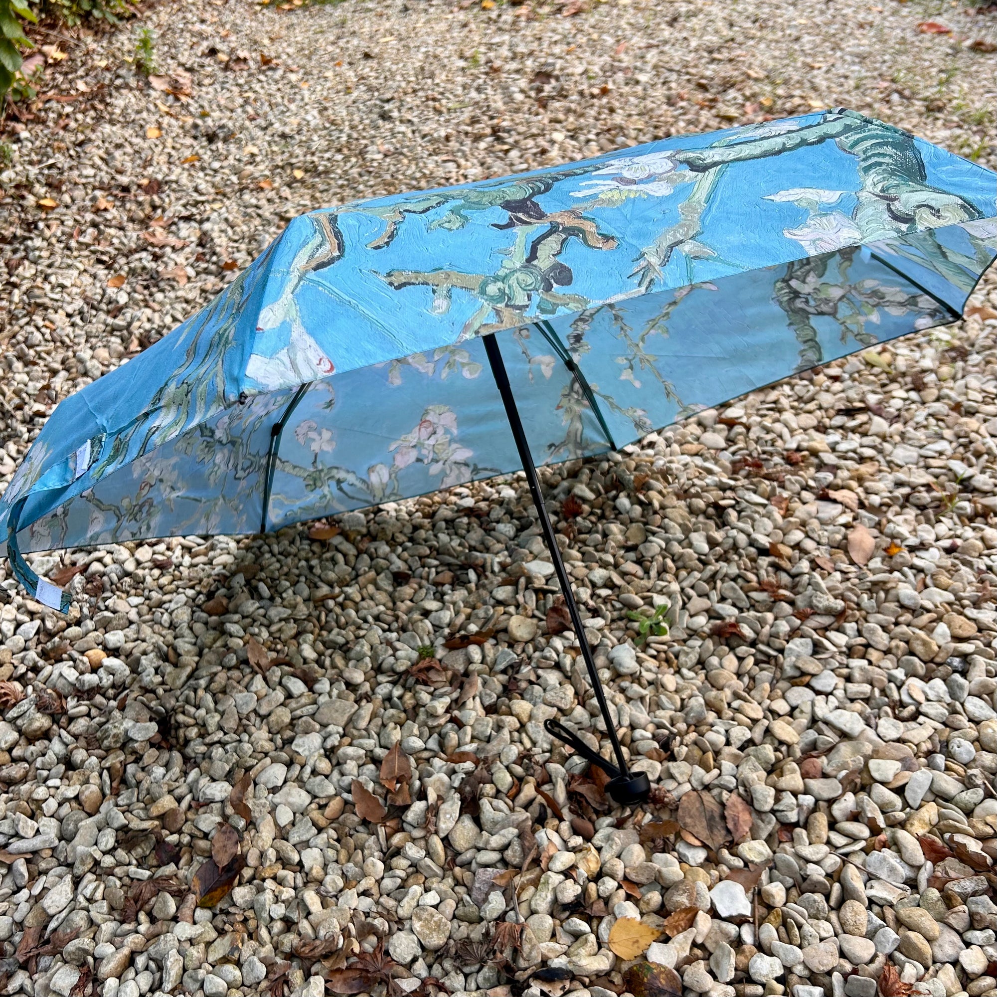 BAYSWATER mini umbrella with case