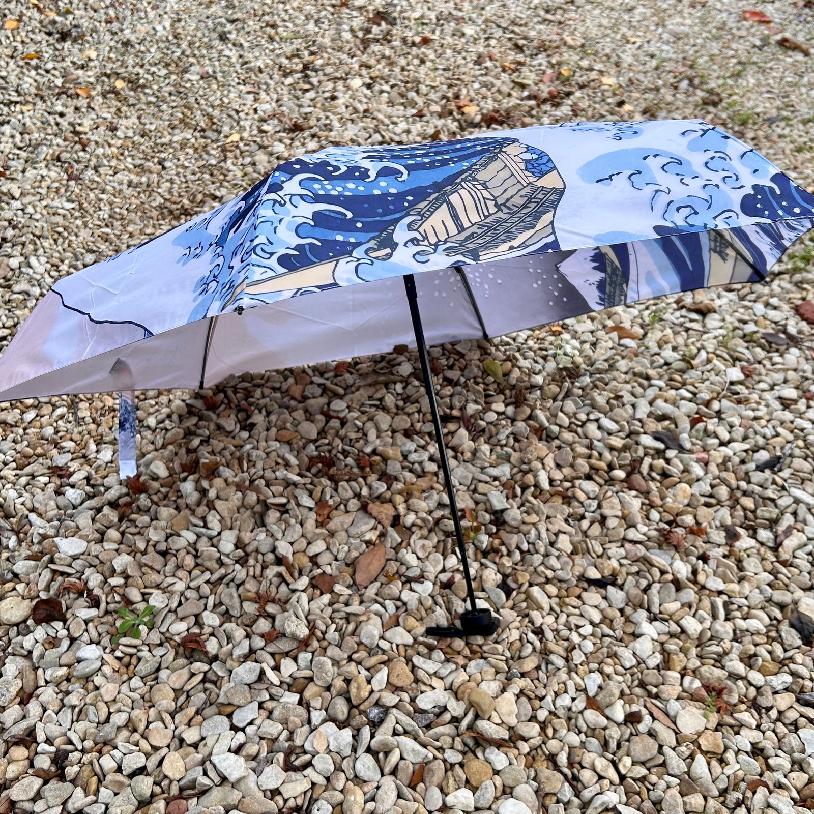 BAYSWATER mini umbrella with case