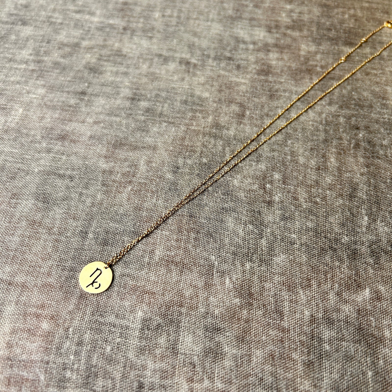 Capricorn - steel zodiac necklace