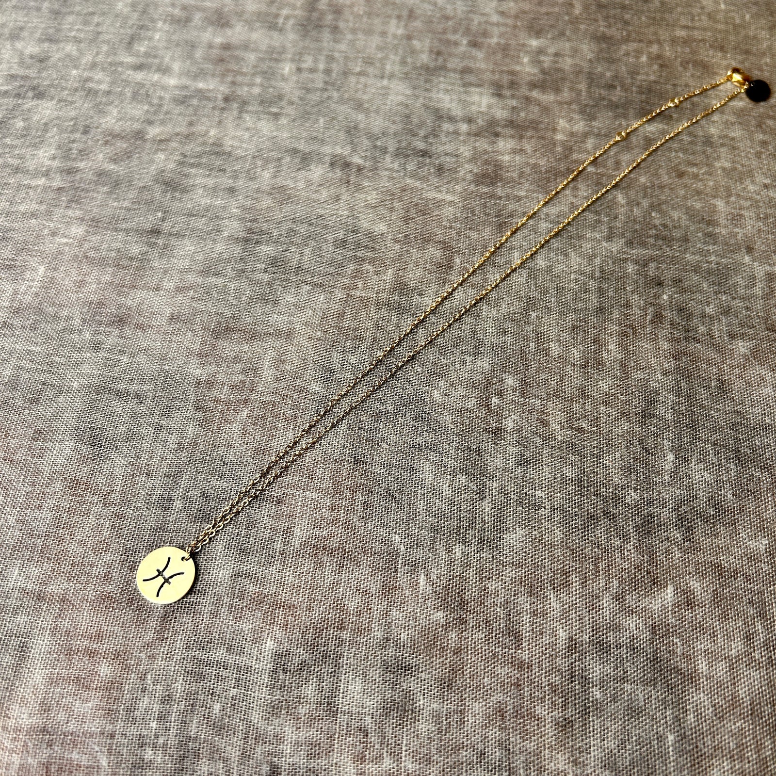 Pisces - steel zodiac necklace