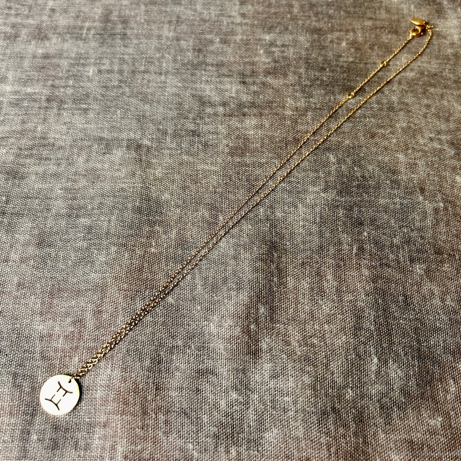 Gemini - steel chain necklace with zodiac charm