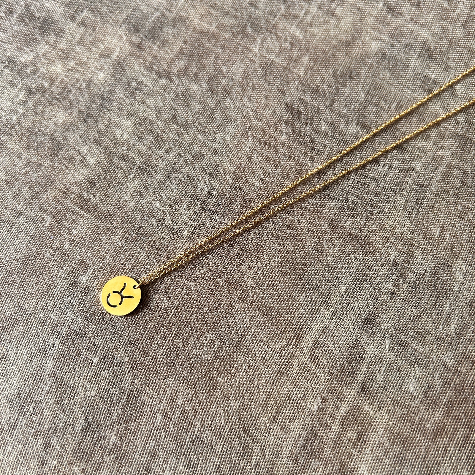 Taurus - steel zodiac necklace